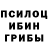 Псилоцибиновые грибы Psilocybine cubensis Ivan Klepcha
