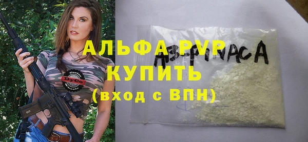 стаф Алзамай