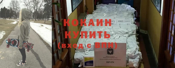 стаф Алзамай
