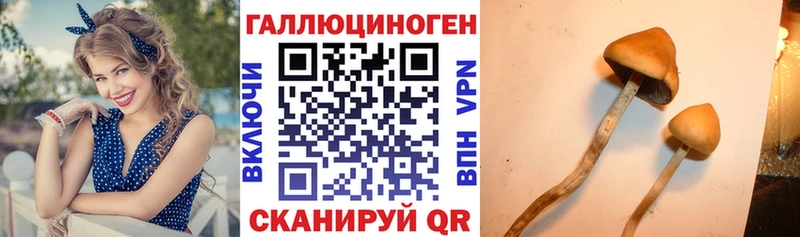 Галлюциногенные грибы прущие грибы  Данков 